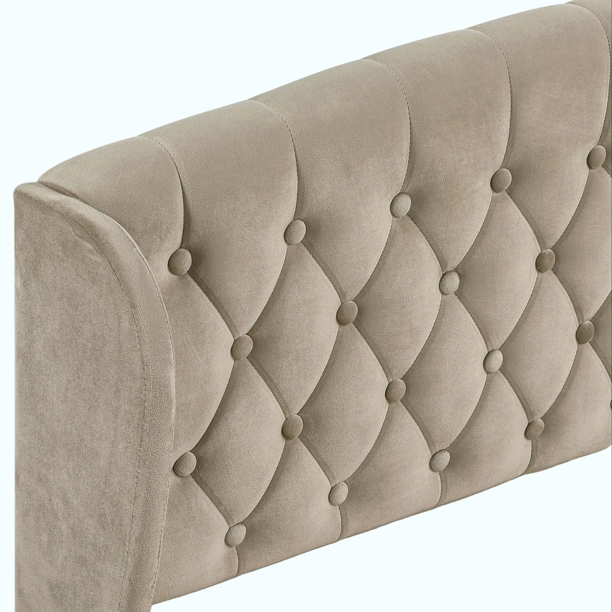 Close-up of a tufted upholstered headboard in a light taupe-beige velvet fabric, showing diamond button tufting and a curved top edge on a white background.