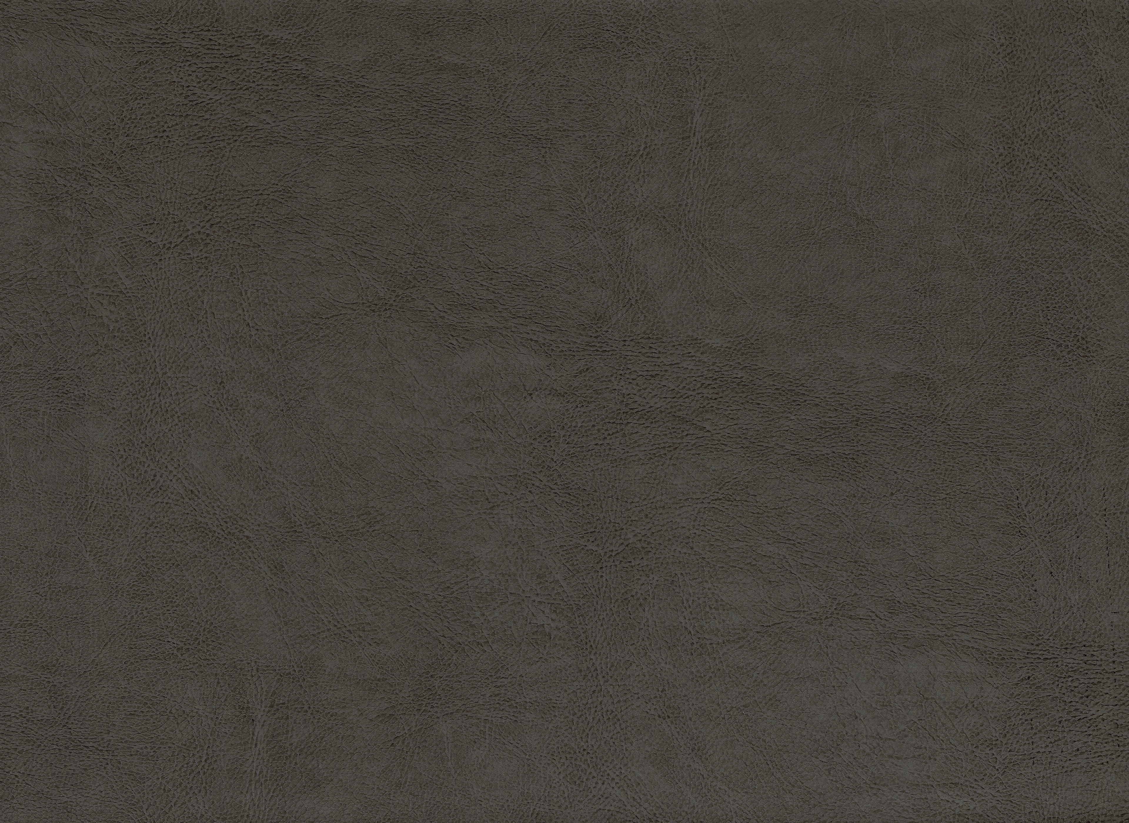 Solid dark gray color swatch