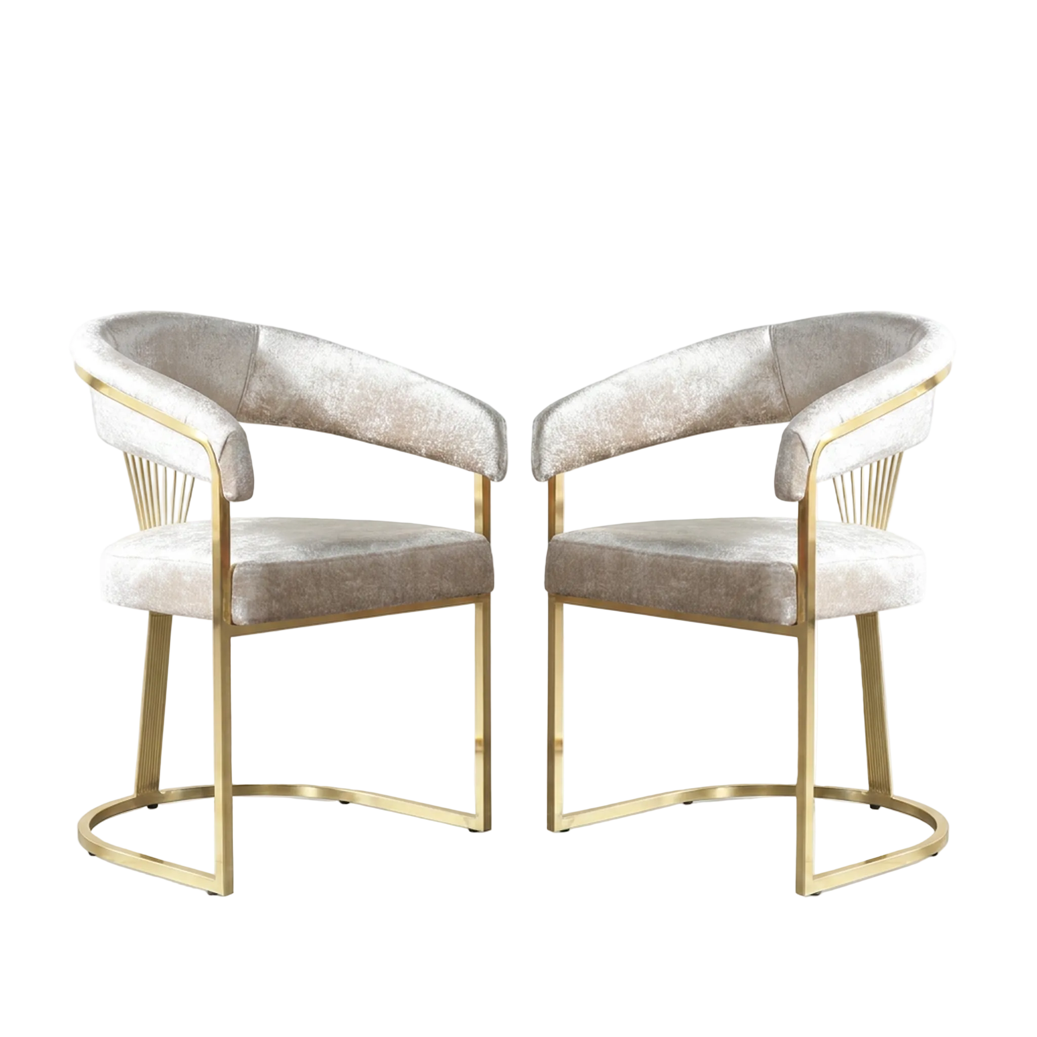 Set of 2 gold velvet dining chairs with white background