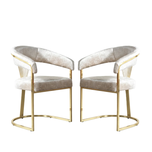 Set of 2 gold velvet dining chairs with white background
