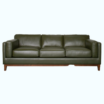Green leather sofa on a white background