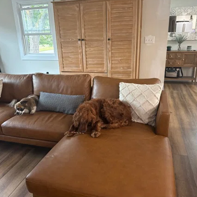 Customer photo