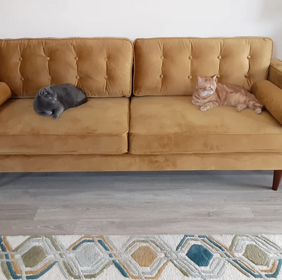 Customer photo
